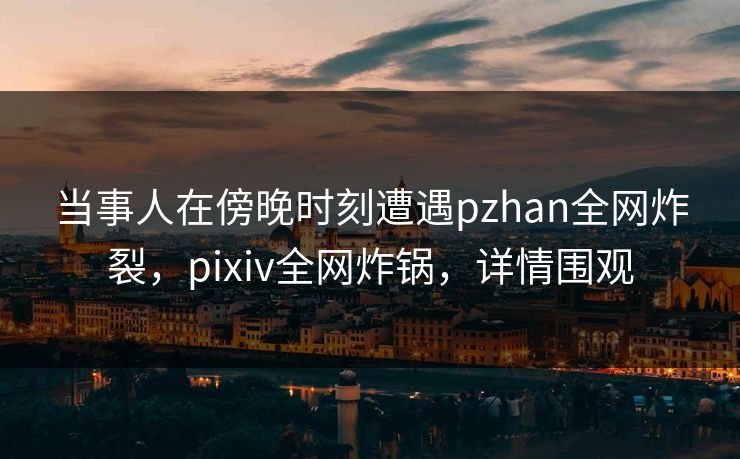当事人在傍晚时刻遭遇pzhan全网炸裂，pixiv全网炸锅，详情围观