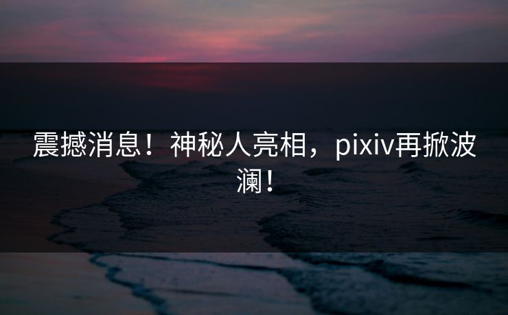 震撼消息！神秘人亮相，pixiv再掀波澜！