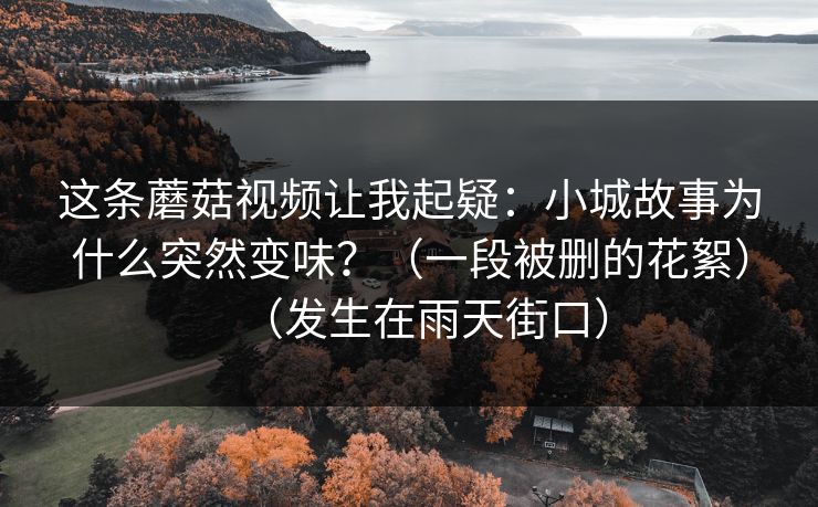 这条蘑菇视频让我起疑：小城故事为什么突然变味？（一段被删的花絮）（发生在雨天街口）